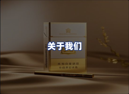 专业团队